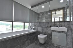 Skyline Residences (D4), Condominium #304482211